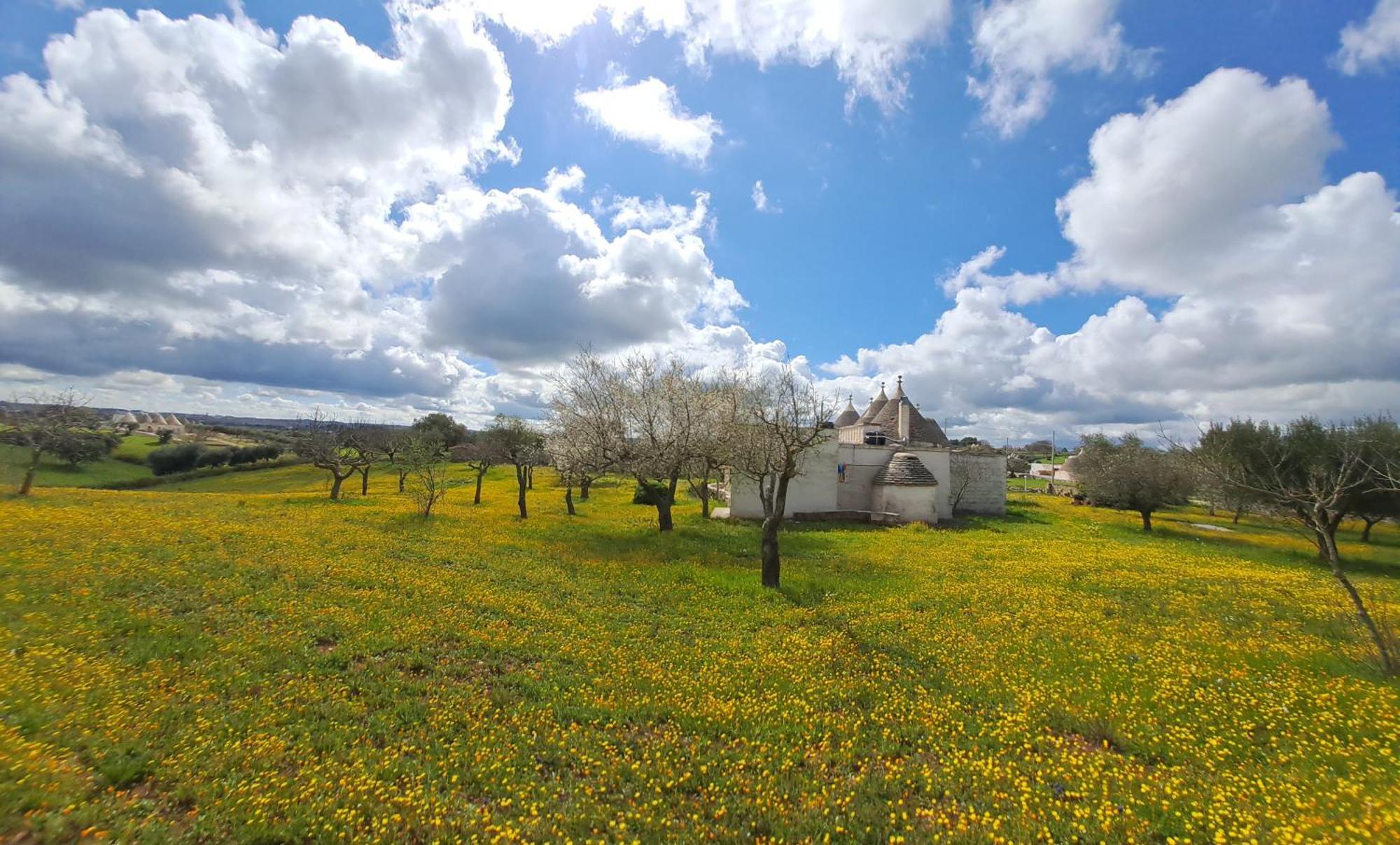 Trulli Carlo Anna Locorotondo Exterior foto