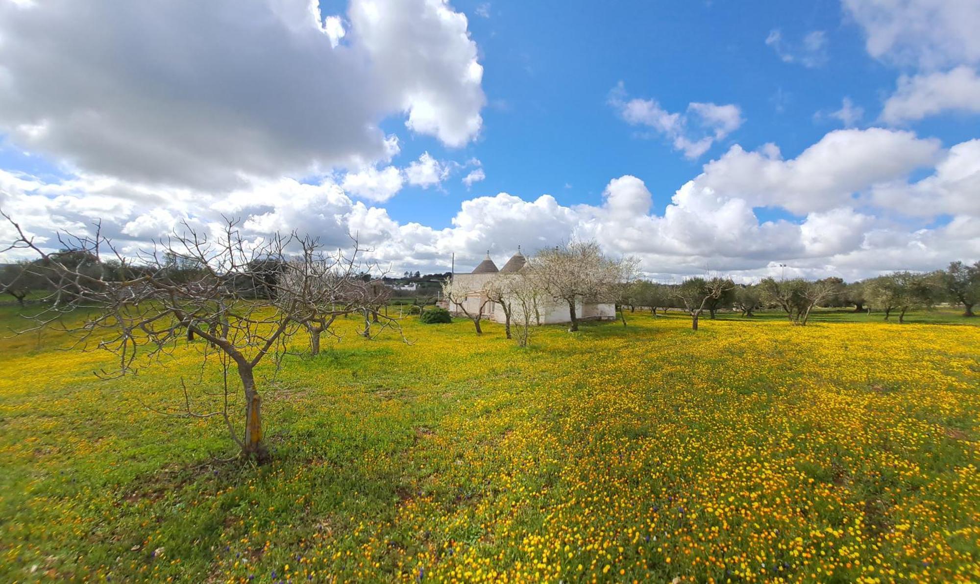 Trulli Carlo Anna Locorotondo Exterior foto