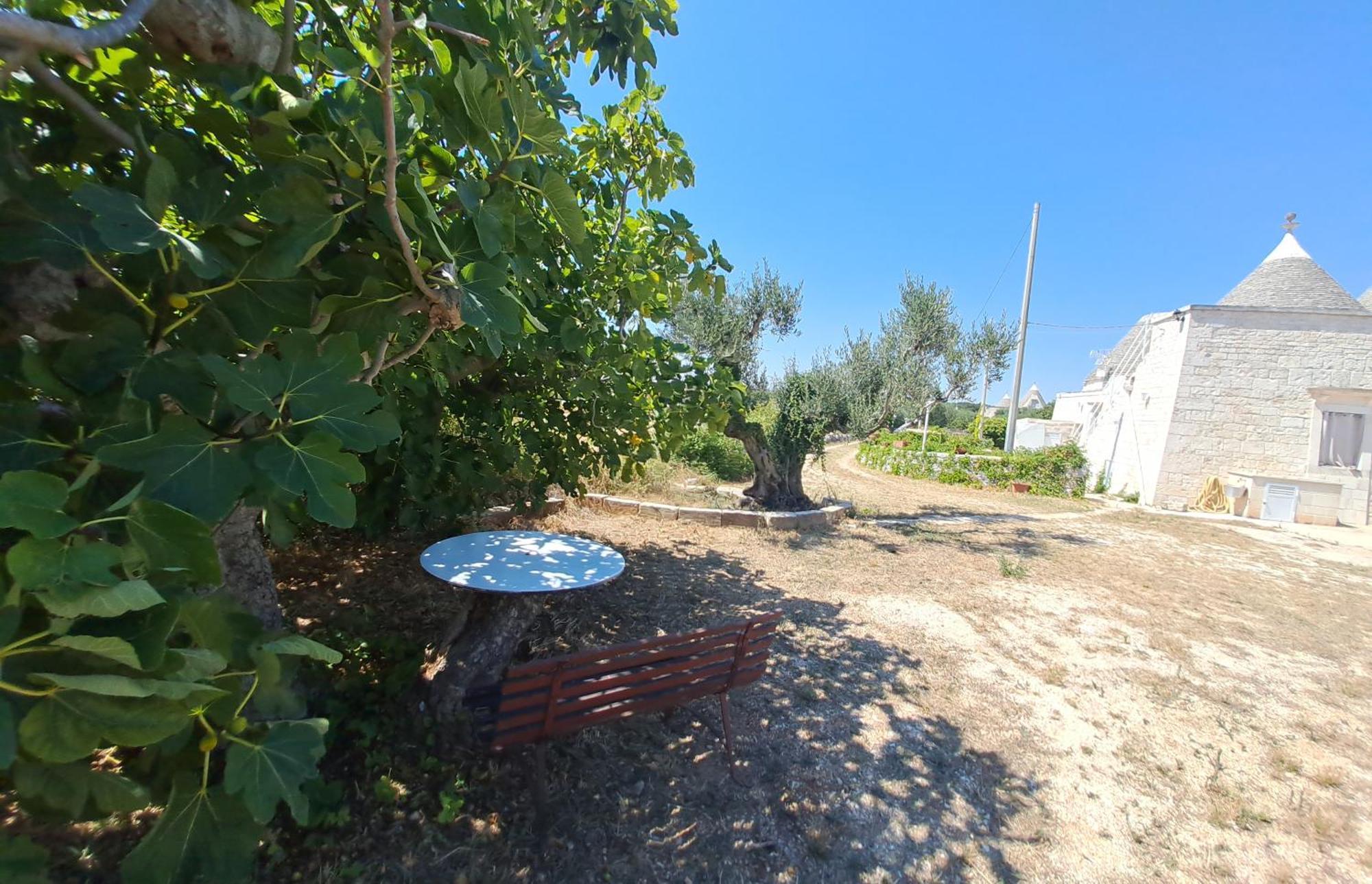 Trulli Carlo Anna Locorotondo Exterior foto