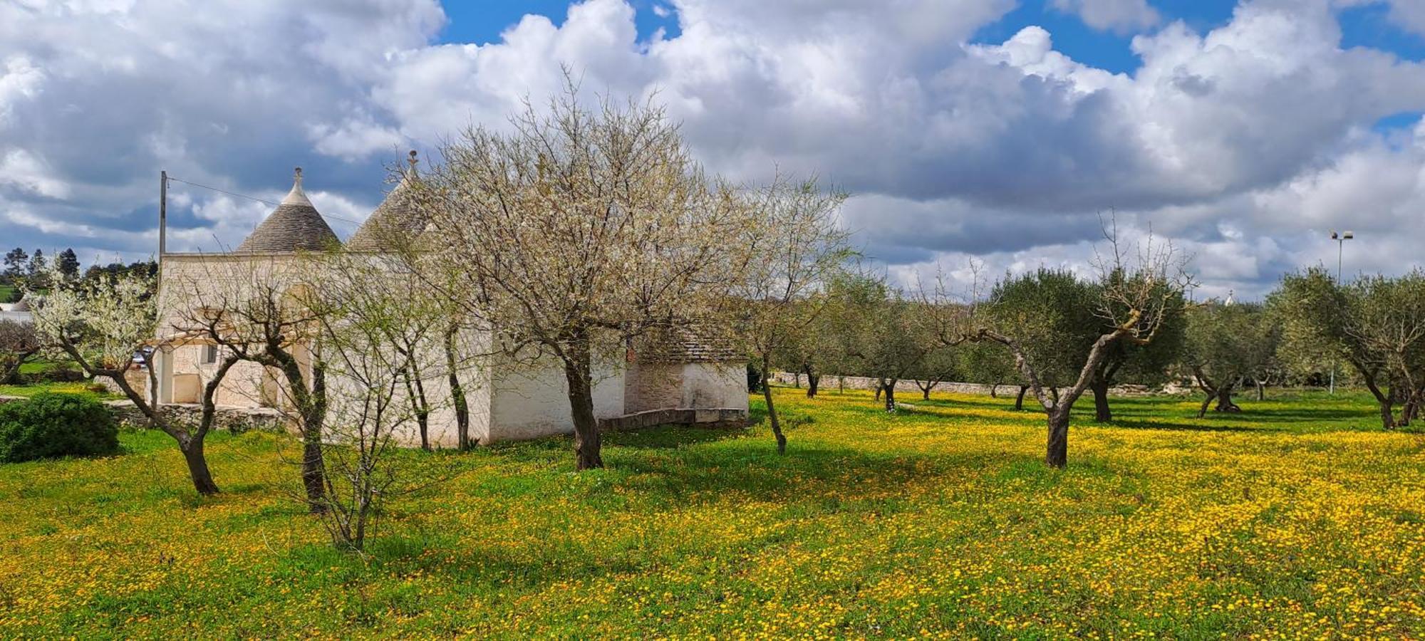 Trulli Carlo Anna Locorotondo Exterior foto